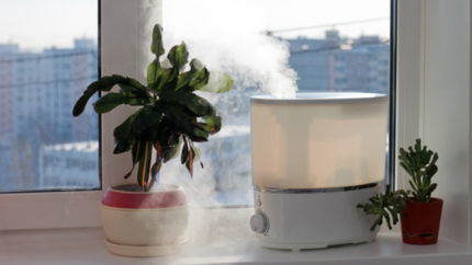 Steam humidifier