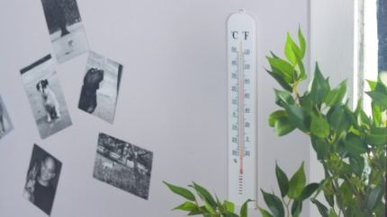 Wall thermometer