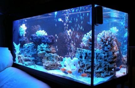 Aquarium with lighting for the bedroom