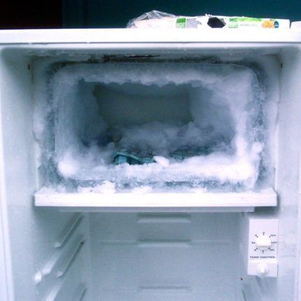 Single chamber refrigerator freezer