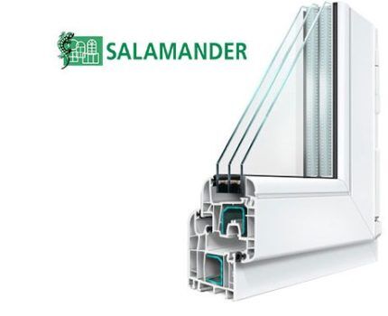 Plastic windows Salamander