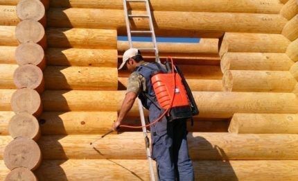 Treating the log house with an antiseptic