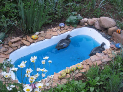 Mini-pond from the bathtub