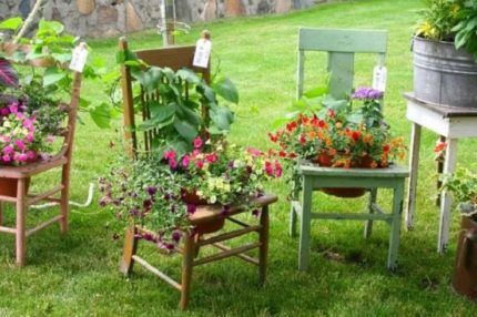 Flowerbed from a chair