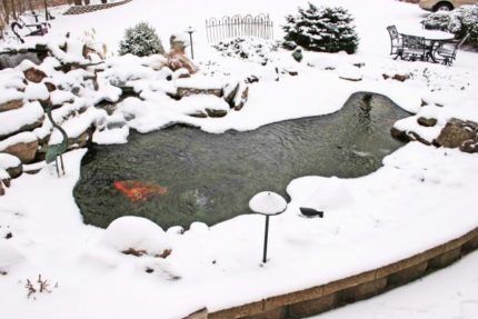 Functioning pond in winter season