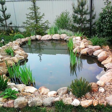 Freeform pond