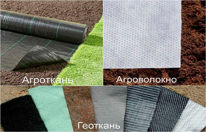 Agrofabric and agrofibre for paving slabs
