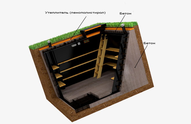 Underground cellar in section