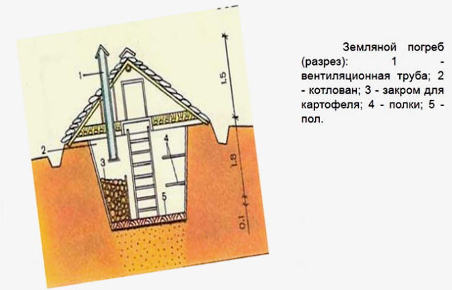 Földes pince metszeti diagramja