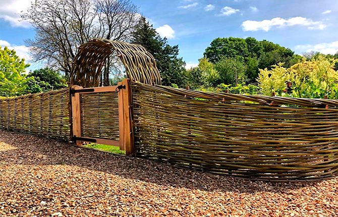 Wicker fence made of branches