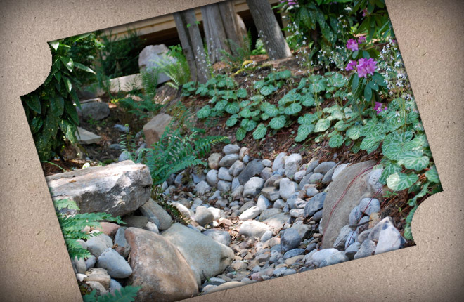 How to make a beautiful dry stream at your dacha with your own hands: ideas, step-by-step instructions, photos