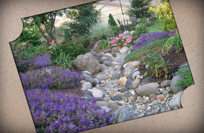 How to make a beautiful dry stream at your dacha with your own hands: ideas, step-by-step instructions, photos