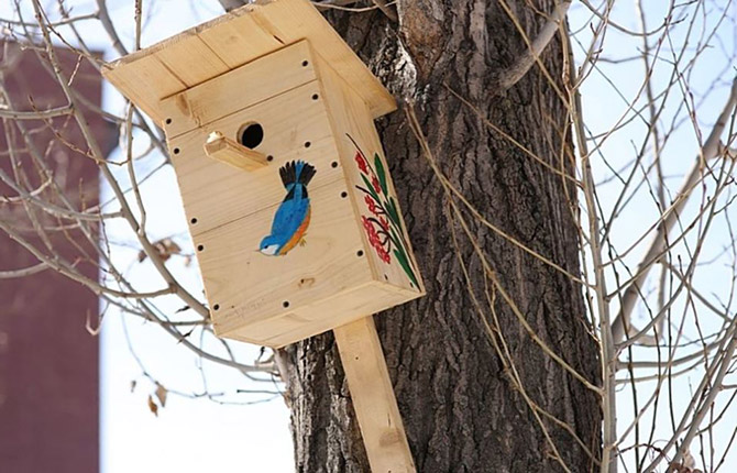 The worst birdhouse is made from scrap materials