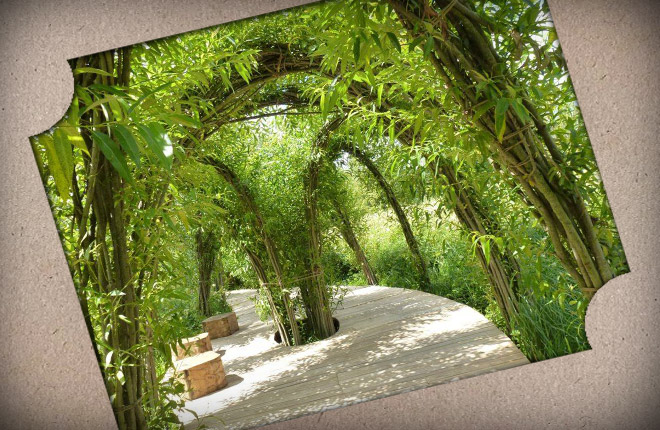 Gazebo made of plants