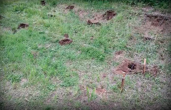 Buat sendiri kandang kayu bersandar untuk kediaman musim panas: lukisan, arahan langkah demi langkah