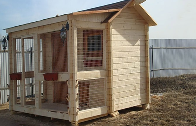 building a chicken coop on the outskirts of the plot