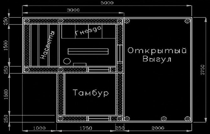 Kā ar savām rokām izveidot vistu kūti: soli pa solim instrukcijas, padomi