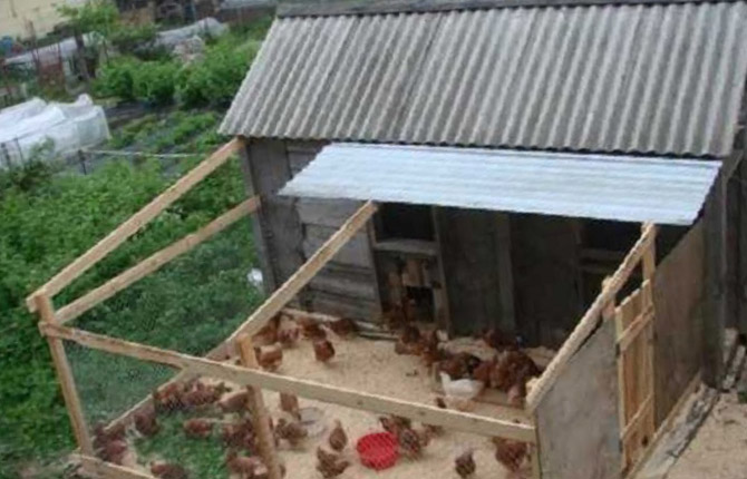How to build a chicken coop with your own hands: step-by-step instructions, tips