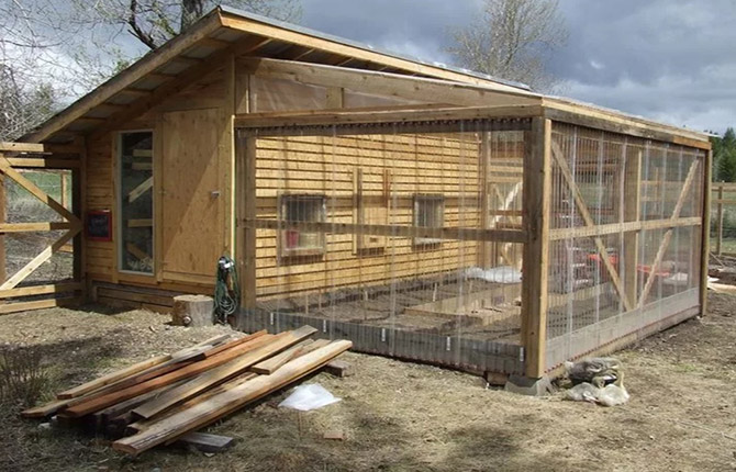 DIY chicken coop for 20 chickens