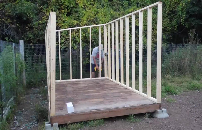How to build an all-season chicken coop for 20 chickens with your own hands: step-by-step instructions