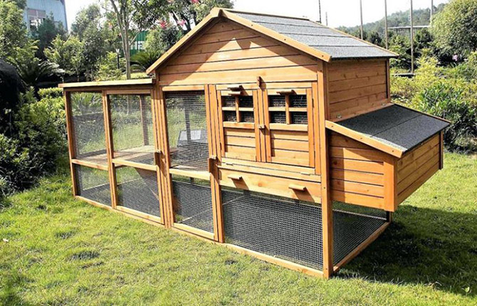 Do-it-yourself chicken coop for 5 chickens: step-by-step construction instructions