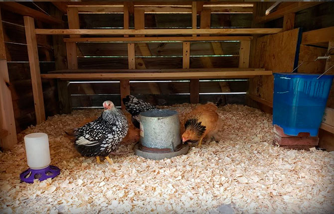 Ventilation for chicken coop