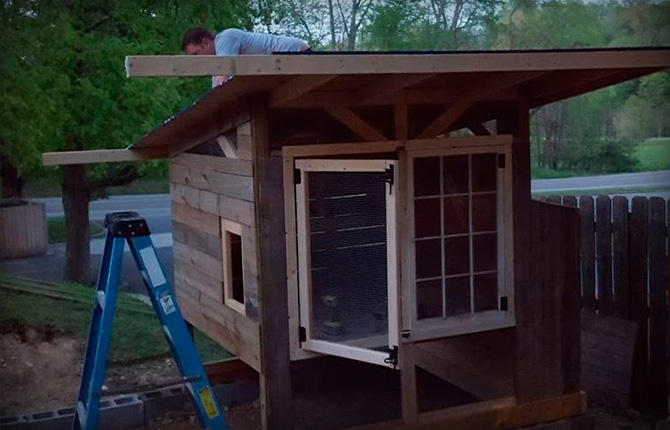 How to build a warm winter chicken coop at your dacha with your own hands: step-by-step instructions with calculations and drawings