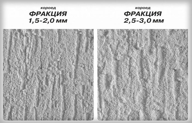 frazione dello scarabeo corteccia